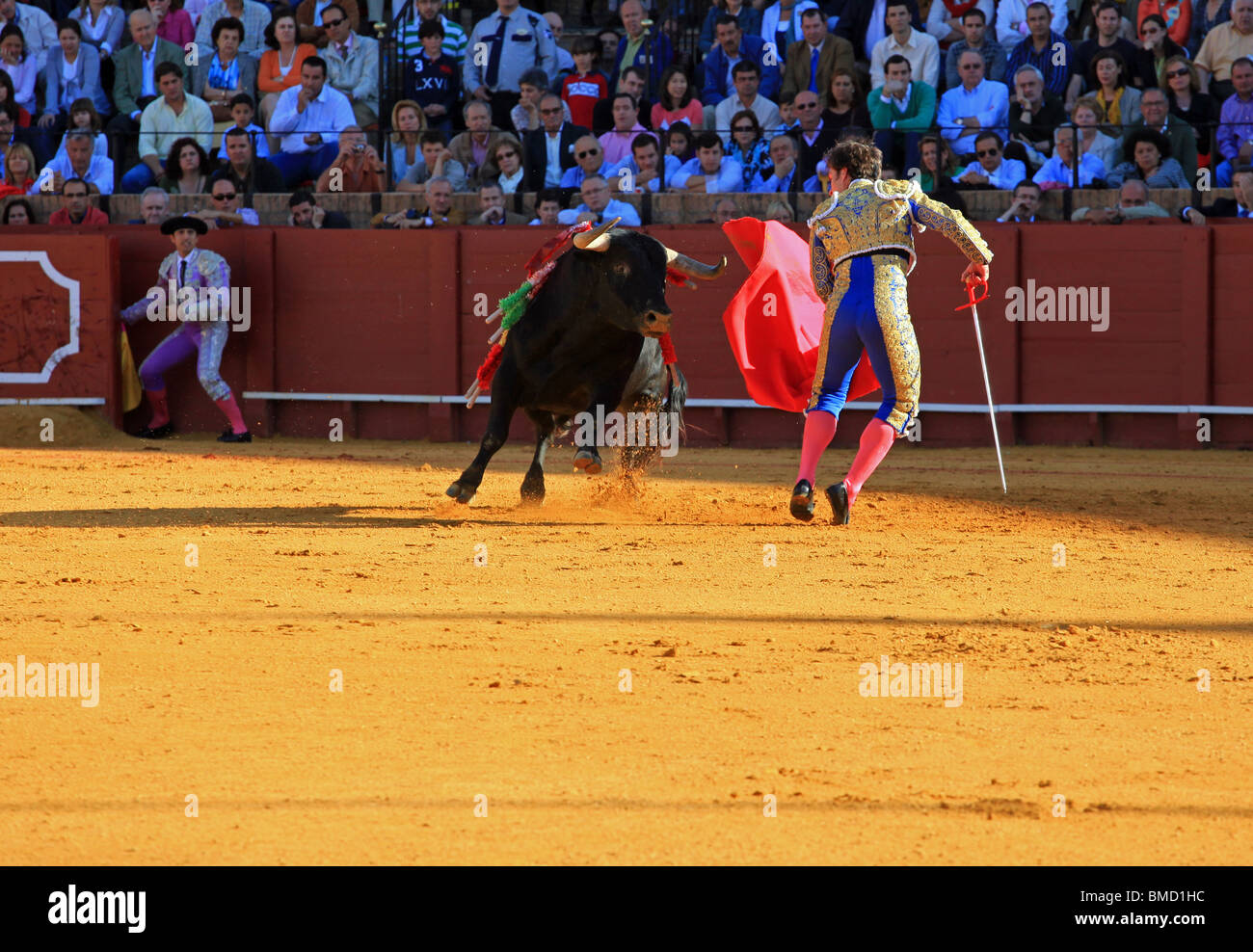 Stierkampf in Sevilla, Spanien Stockfoto