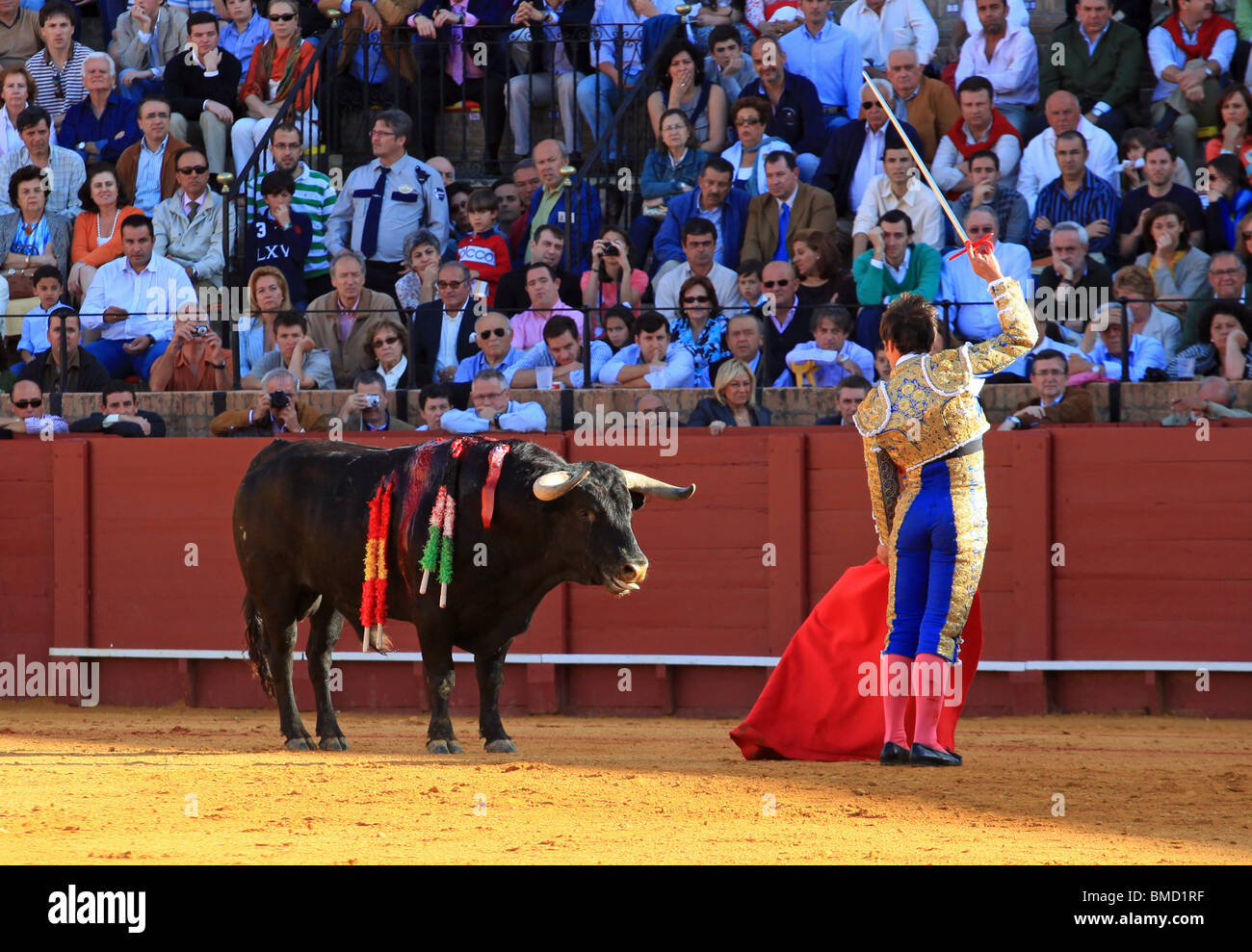 Stierkampf in Sevilla, Spanien Stockfoto
