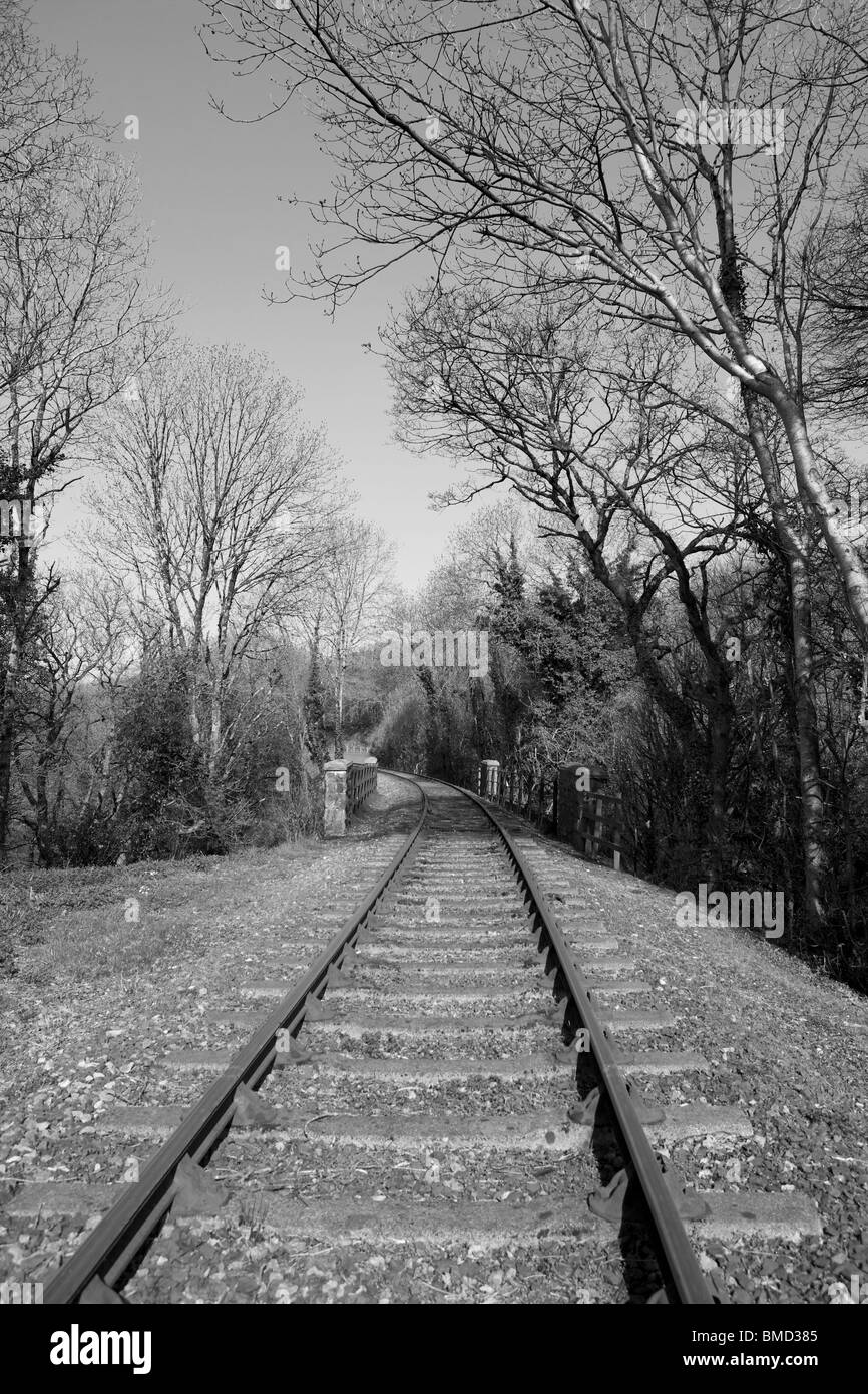 Bodmin und Wenford Dampfeisenbahn Stockfoto