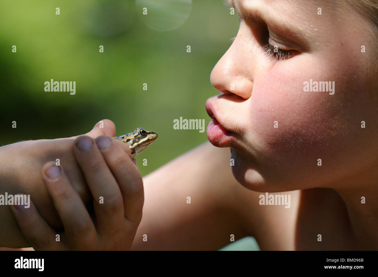 Stock Foto eines Kindes einen Frosch zu küssen. Stockfoto