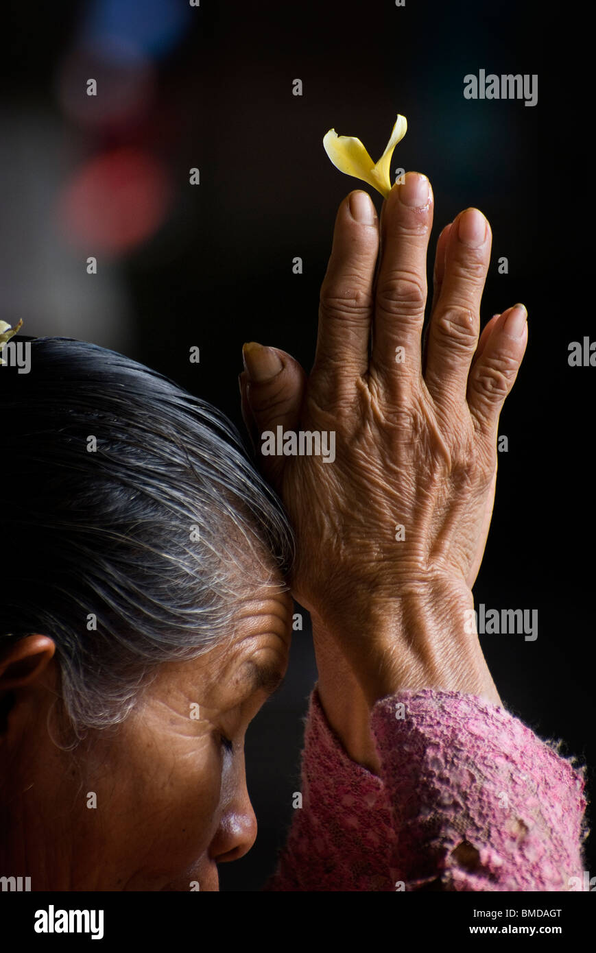 Eine Frau in Bali, Indonesien, kommt zum Ubud Markt Tempel ihren hinduistischen Glauben an den heiligen Tag des Galungan üben. Stockfoto Eine Frau in Bali, Indonesien, kommt zum Ubud Markt Tempel ihren hinduistischen Glauben an den heiligen Tag des Galungan üben. Stockfoto