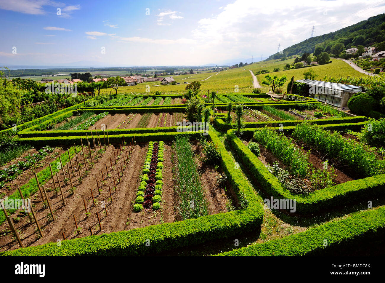 Ein Schweizer Gemüsegarten in der Weinbau-Region genannt La Cote. Der Garten ist sauber und ordentlich Stockfoto