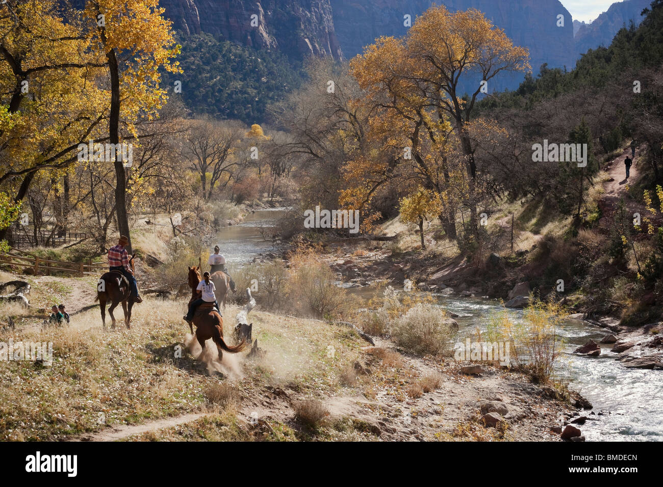 Reiter am Virgin River im Zion National Park genießen bunten Herbstfarben. Stockfoto