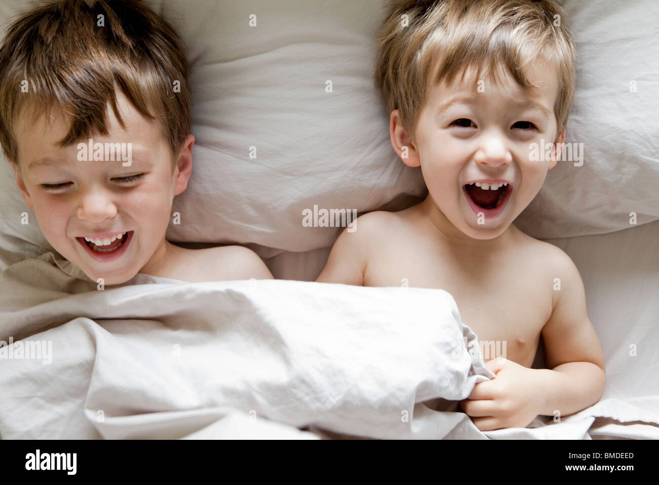 Brüder im Bett lachen Stockfoto