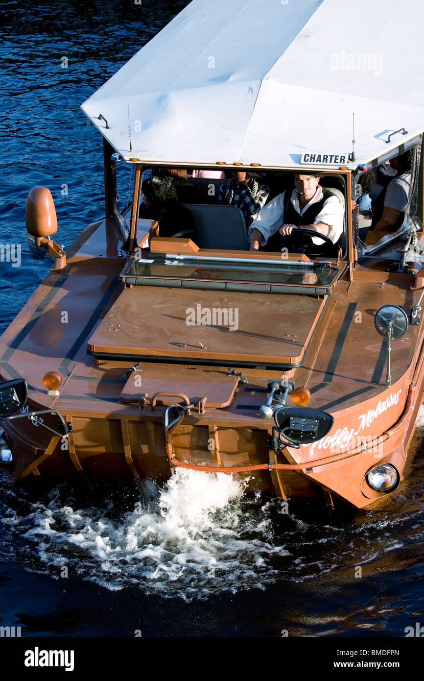 Boston Duck "Molly Molasses" Bootsführer Blick in die Kamera, während im Wasser. Stockfoto