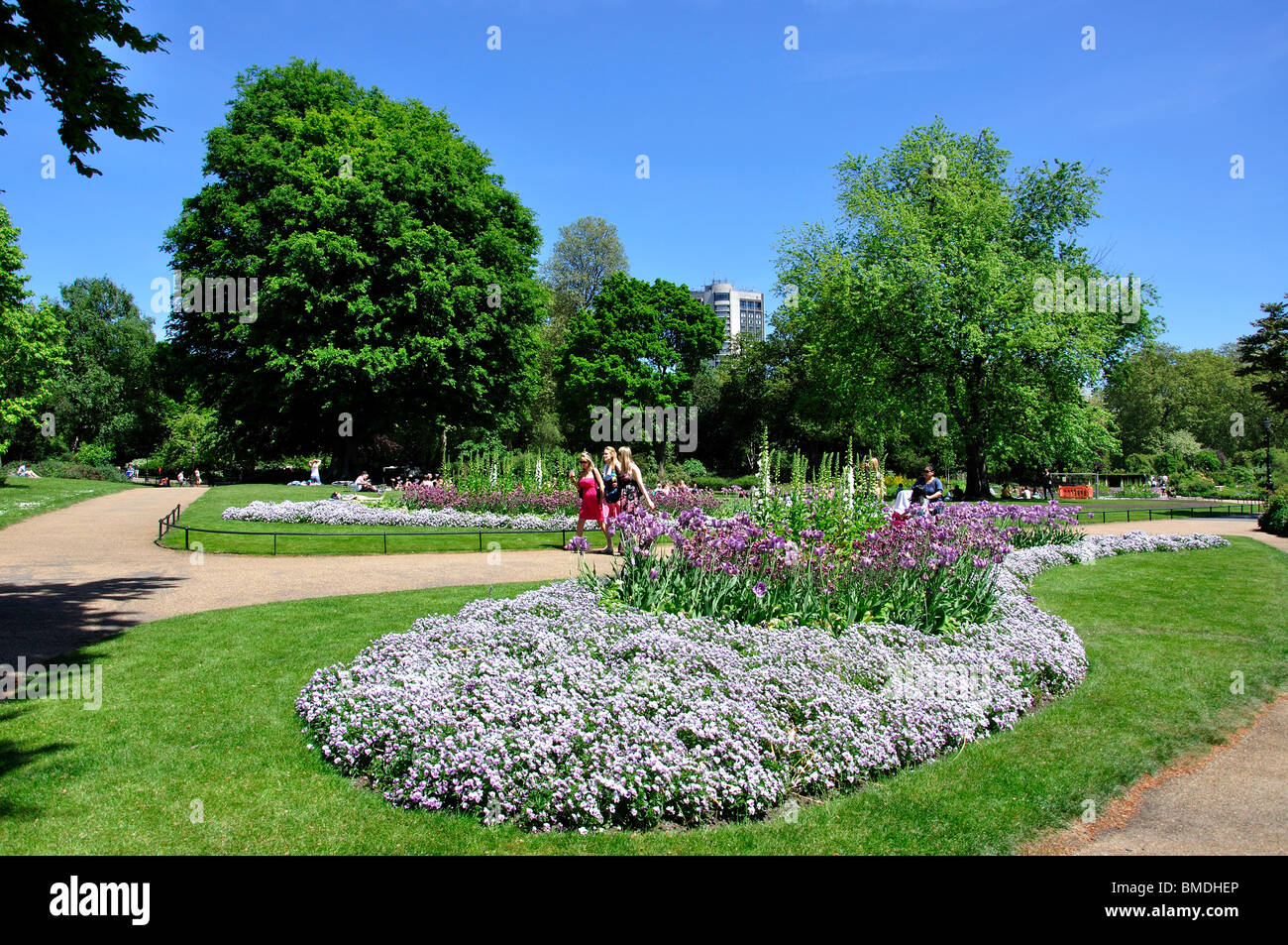 Blume Betten und Pfade, Hyde Park, City of Westminster, London, England, Vereinigtes Königreich Stockfoto