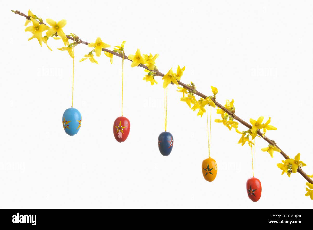 Ostereier hängen blühende Forsythien Zweig, Bayern, Deutschland Stockfoto