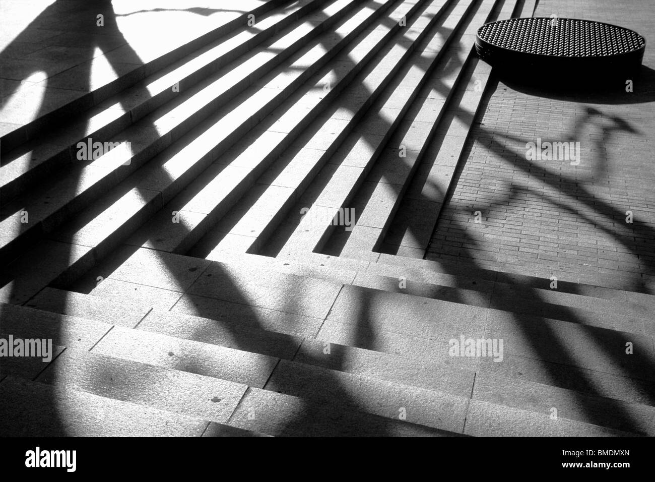schwarz / weiß Bild der Treppe ein Schatten der Platane Stockfoto