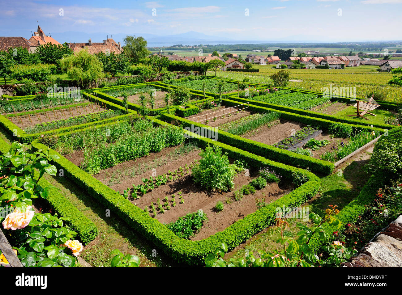 Ein Schweizer Gemüsegarten in der Weinbau-Region genannt La Cote. Der Garten ist sauber und ordentlich Stockfoto