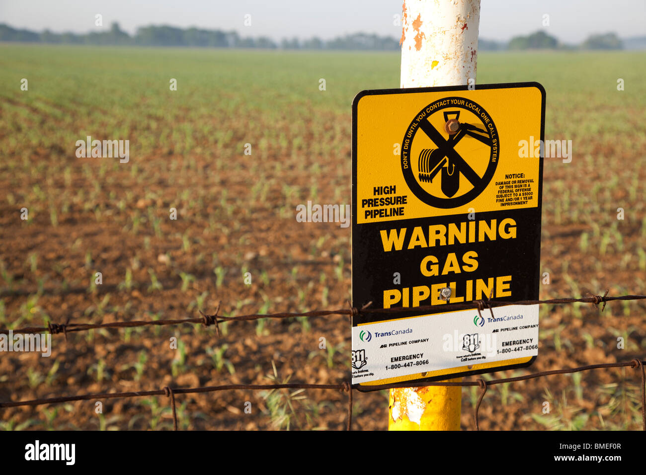 Shelbyville, Indiana - eine Markierung am Rand eines Feldes Bauernhof warnt vor einem vergrabenen Erdgas-Pipeline. Stockfoto