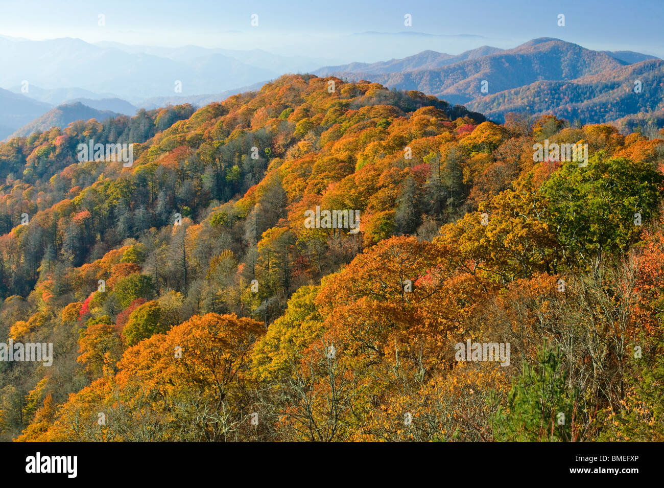 Nordamerika, USA, North Carolina, Ansicht von Nebel bedeckt Great Smokey Mountains National Park, erhöhten Blick Stockfoto