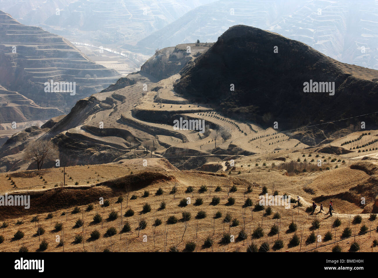 Terrasse im Lössplateau, Guanghe County, Linxia Hui autonome Präfektur, Provinz Gansu, China Stockfoto