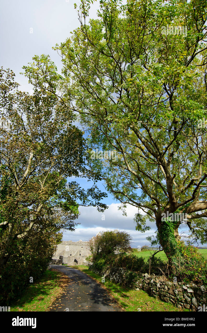 Murrisk Abtei, Murrisk, County Mayo, Provinz Connacht, Irland Stockfoto