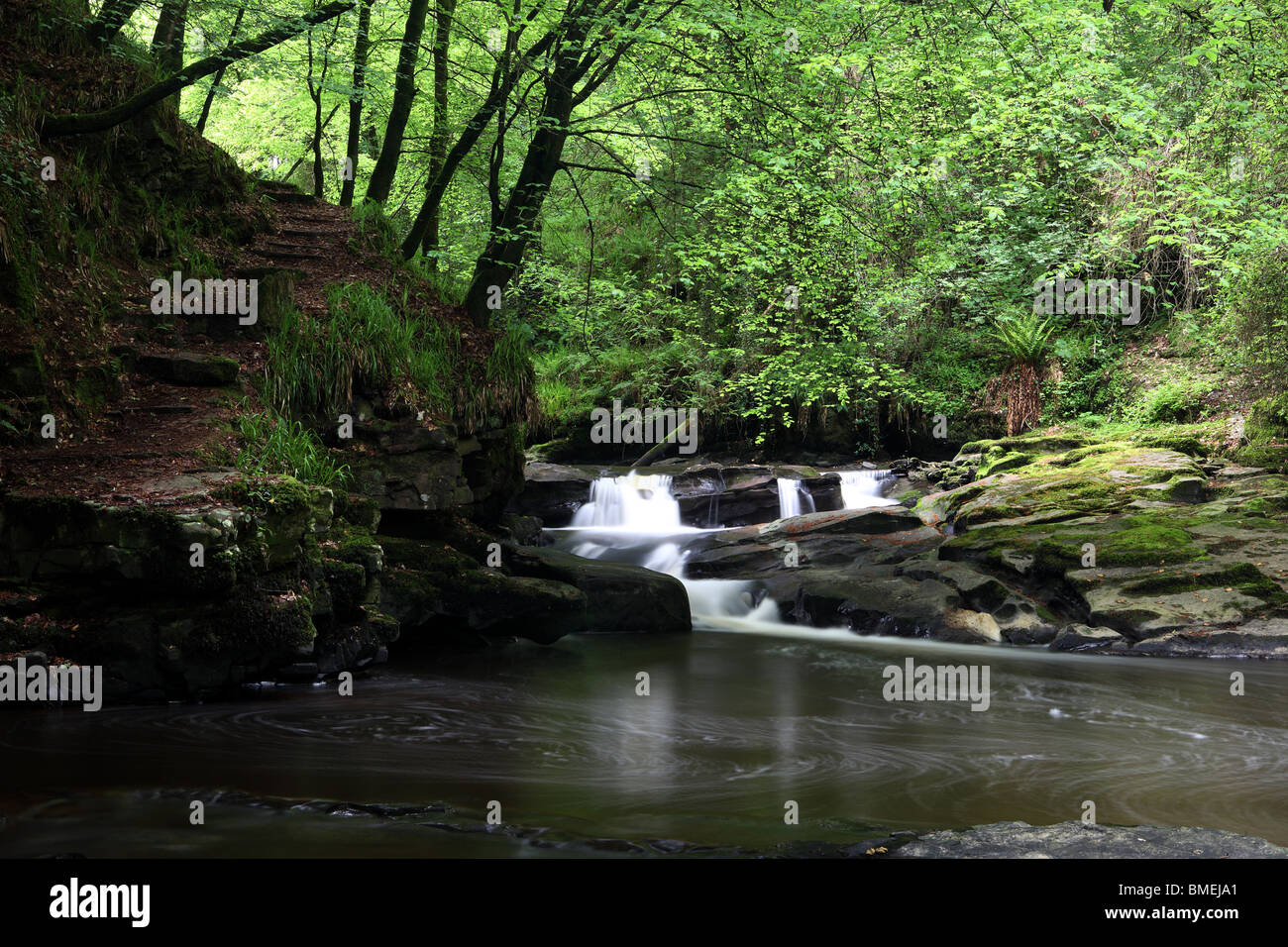 Clare Glens Naturpark in der Nähe von Newport County Tipperary Stockfoto