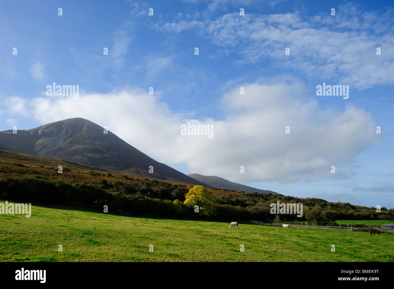 Croagh Patrick, Murrisk, County Mayo, Provinz Connacht, Irland Stockfoto