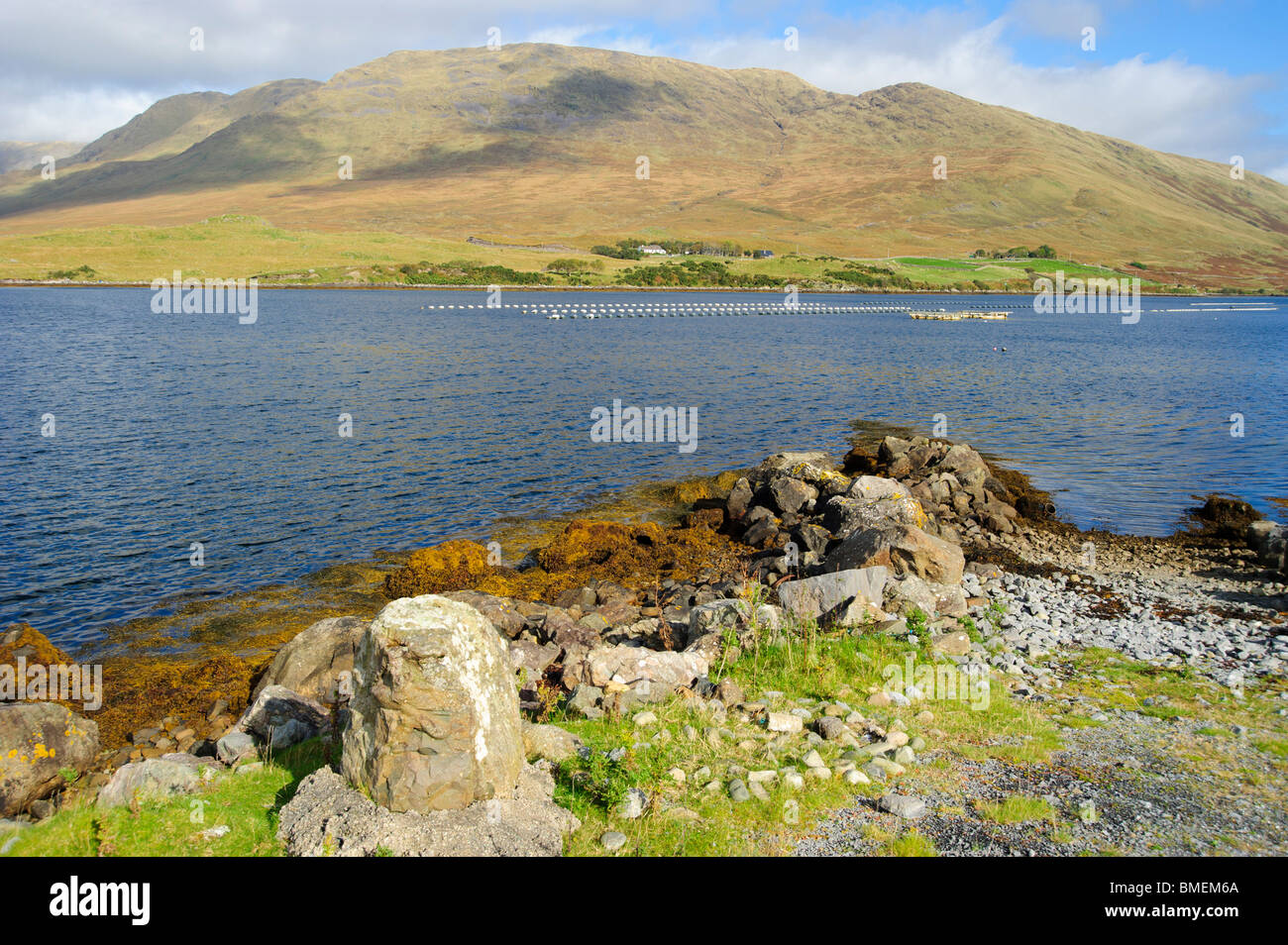 Killary Harbour & Mweelrea Berg, County Galway, Provinz Connacht, Irland Stockfoto