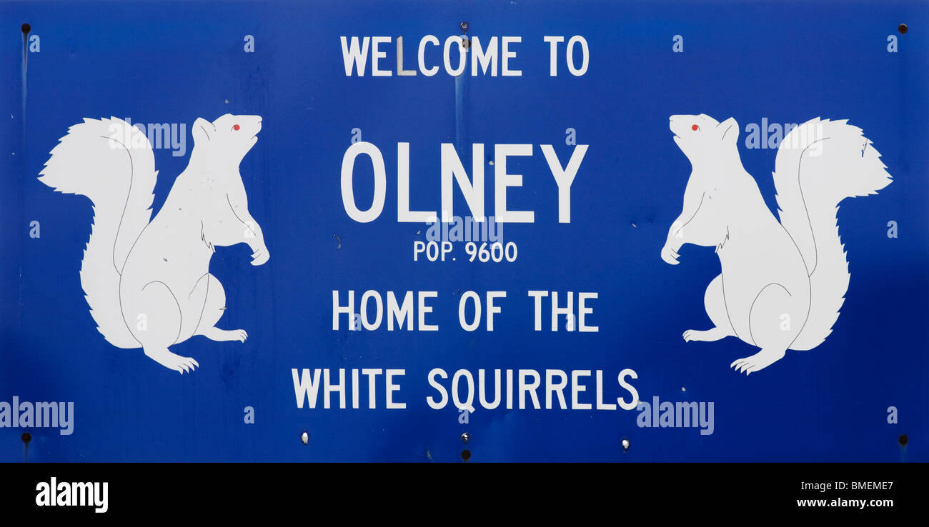 Willkommen in Olney, Illinois – White Squirrel Town! Ein Schild am Straßenrand feiert die berühmte Bevölkerung der seltenen weißen Eichhörnchen. Stockfoto