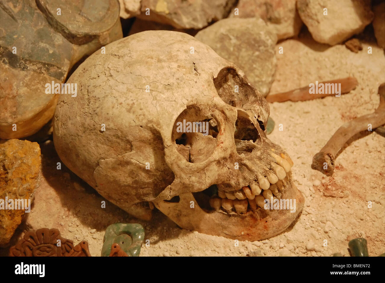 Menschlicher Schädel gefunden in Campeche, Mexiko. Stockfoto