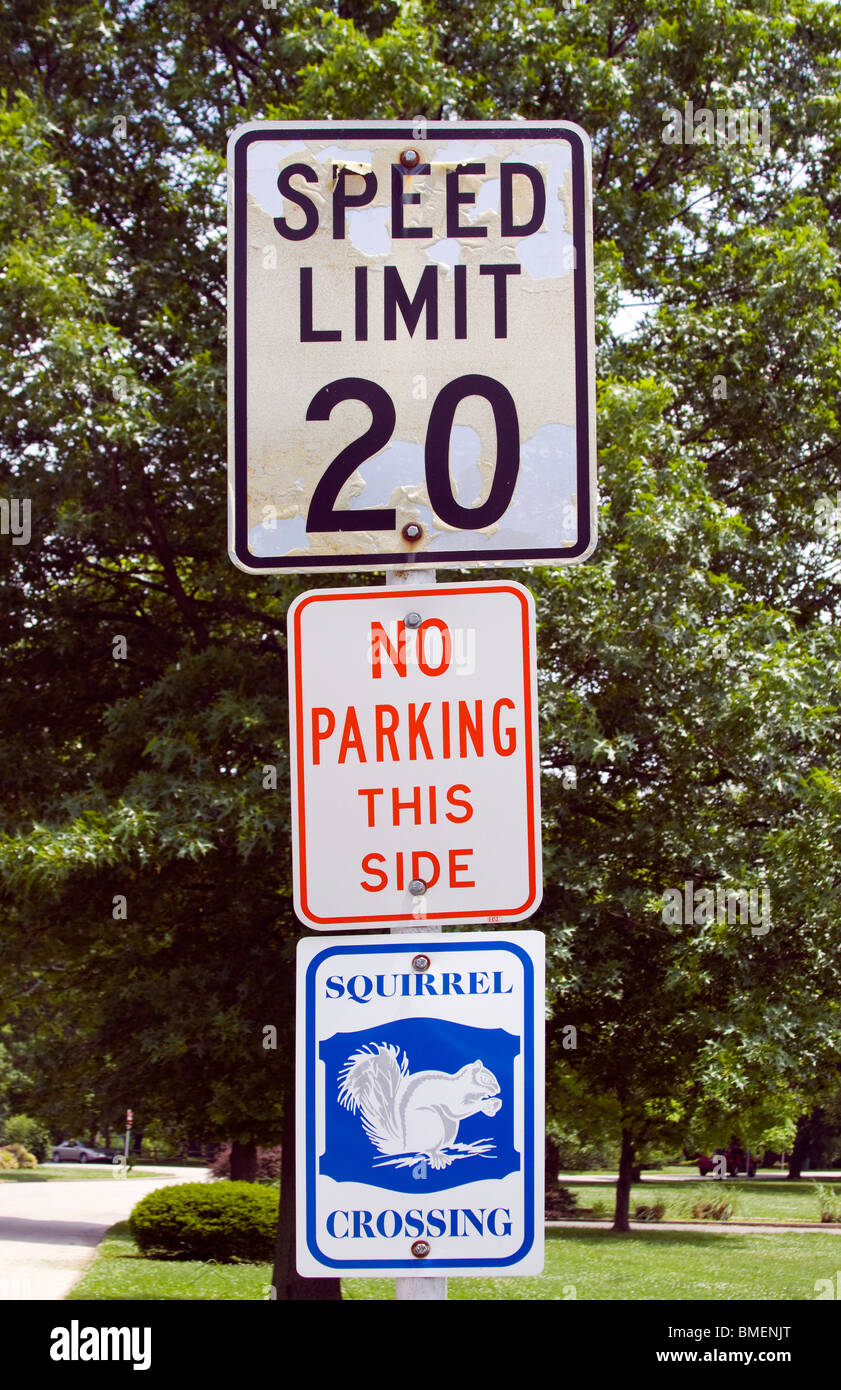 In Olney, Illinois, warnt ein Schild mit dem White Squirrel Crossing die Fahrer, nach der berühmten Bevölkerung seltener weißer Eichhörnchen Ausschau zu halten. Stockfoto