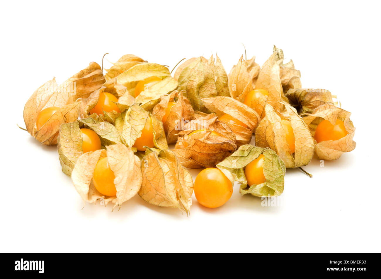 Physalis auf weißem Hintergrund Stockfoto