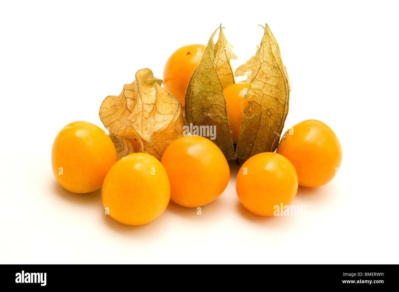 Physalis auf weißem Hintergrund Stockfoto