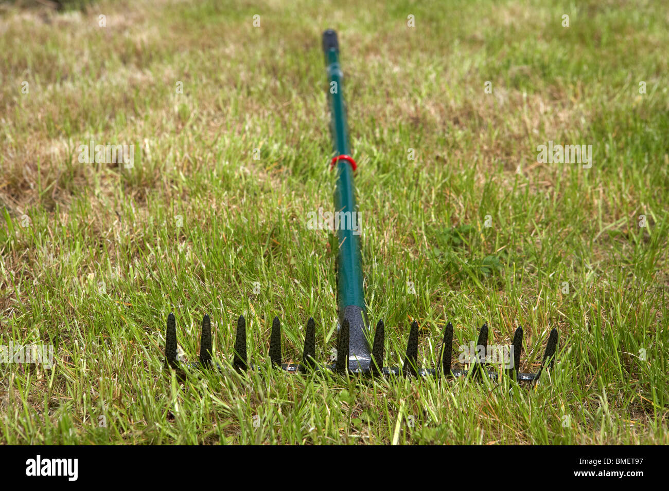 umgedrehten Garten Rechen liegen entsorgt im frisch gemähten Grases in einem Garten in Großbritannien Irland Stockfoto