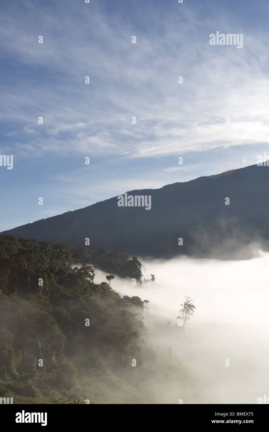 Nebel, die Rollen an den Seiten des Myola Beckens, entlang der Kokoda Trail, Papua New Guinea Stockfoto