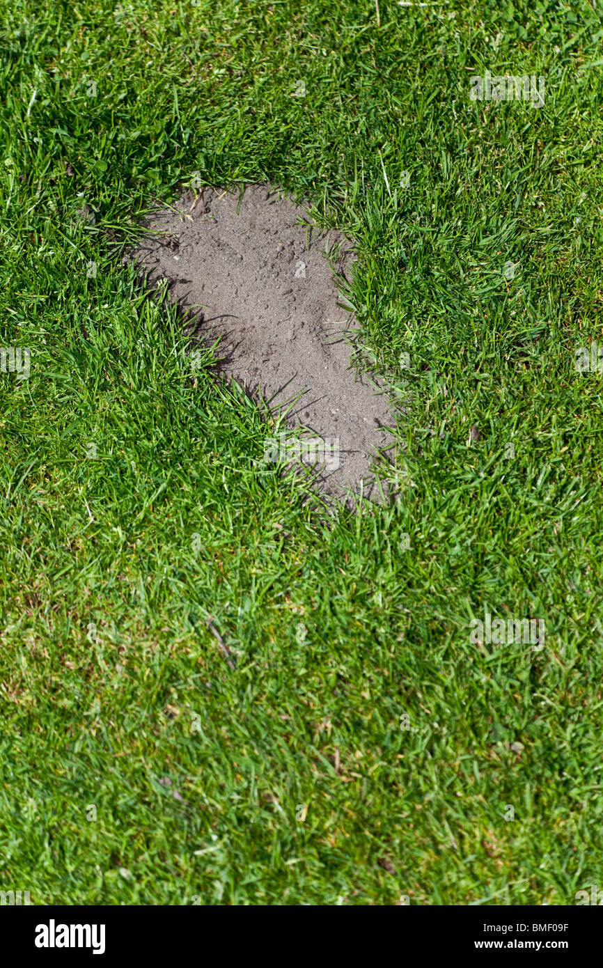 Grass und Fußabdruck, Konzept von Umweltschäden Stockfoto