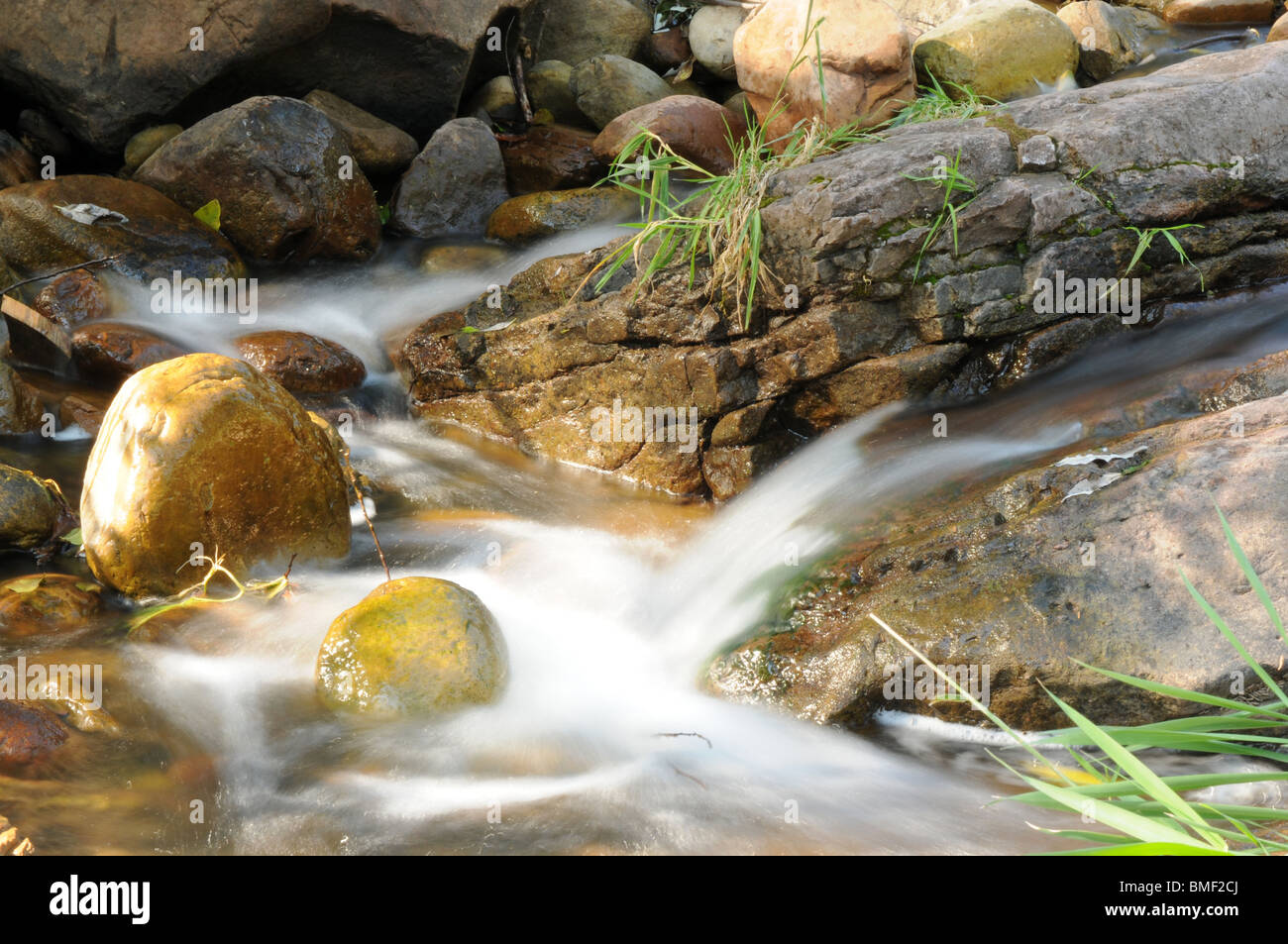 Kleiner Wasserfall an einem kleinen Bach Stockfoto