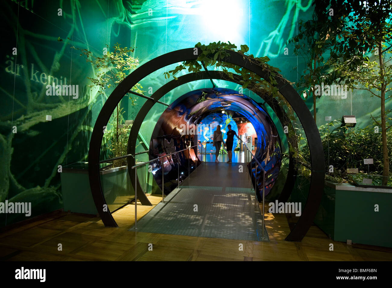 Biologie Abschnitt Eingang in das Deutsche Museum, Museumsinsel, München Stockfoto