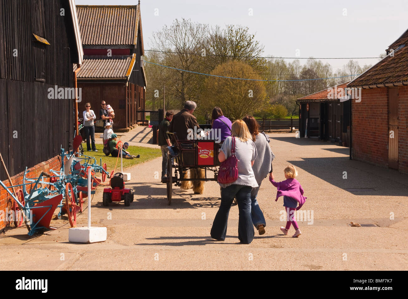 Ein Pony & Falle bei Easton Farm Park in Easton, Woodbridge, Suffolk, England, Großbritannien, Uk Stockfoto