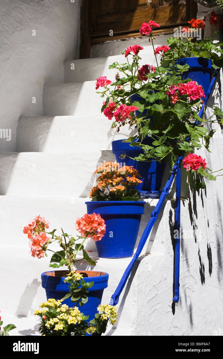 Córdoba, Andalusien, Spanien. Jährliche Innenhof-festival Stockfoto