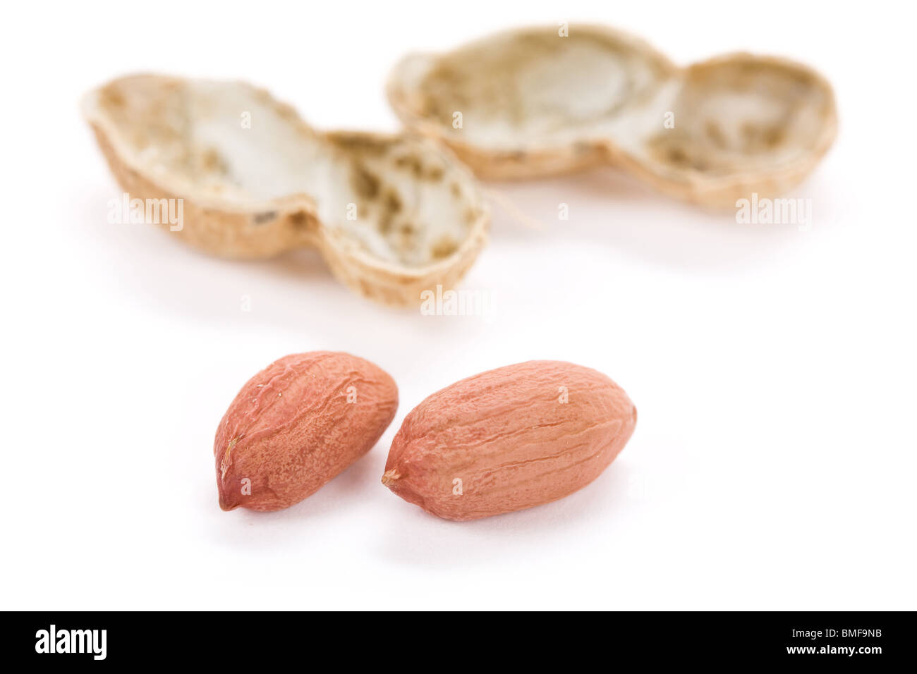 Erdnüsse mit weißem Hintergrund, Nahaufnahme Stockfoto