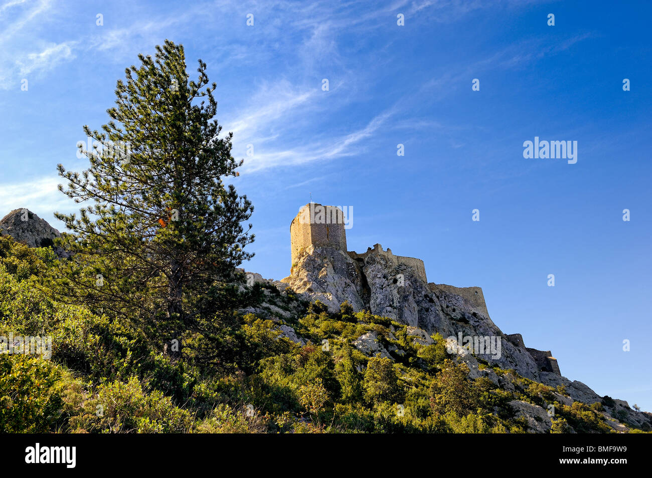 Queribus Burg, Languedoc Roussillon, Frankreich. Stockfoto