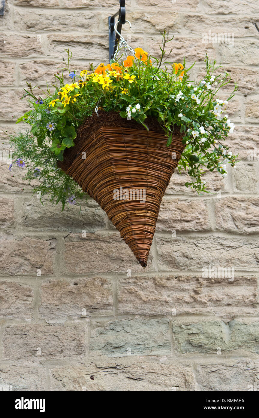 Eine kegelförmige Blumenampeln Blumen Stockfoto