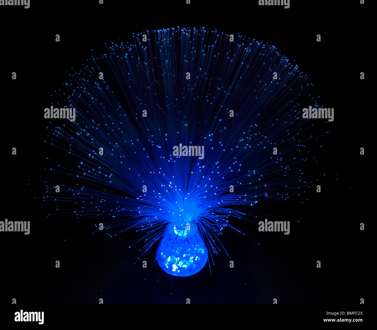 Blaue Faser Optik Lampe vor schwarzem Hintergrund Stockfoto