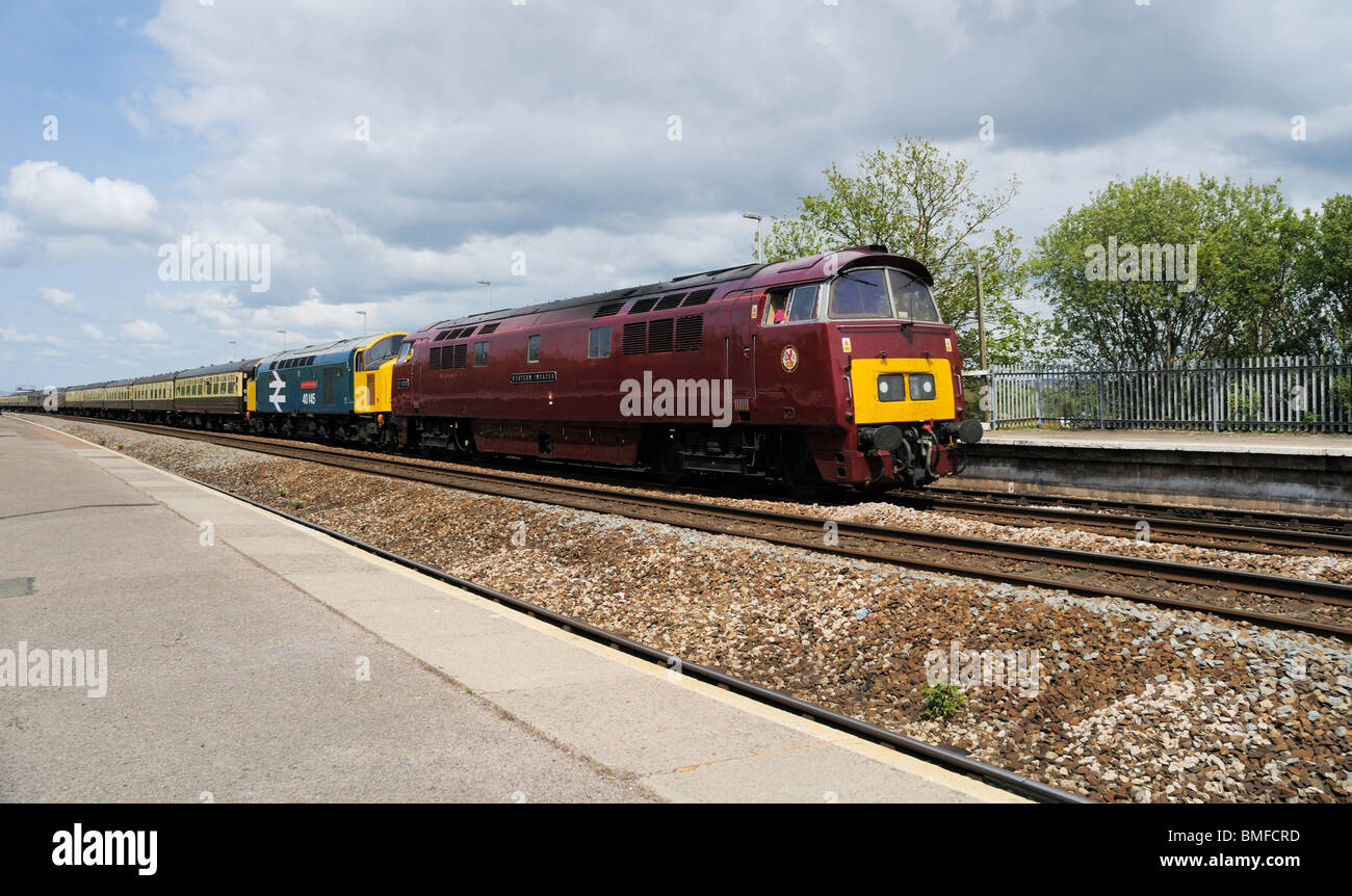 D1015 und 40145 Kopf East Lancs Champion Railtour Durchgangsbahnhof Dawlish Warren Stockfoto