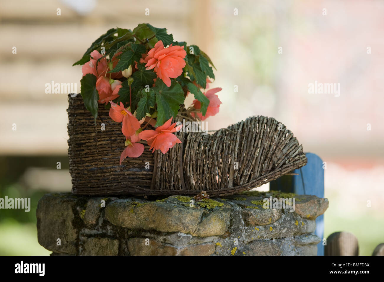 Gartendekoration-Stillleben - Schuh mit Blumen Stockfoto