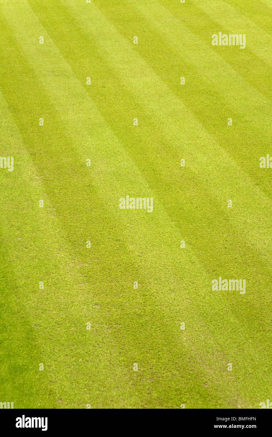 Gestreiften Rasen mit gestreiften Rasen. Stockfoto