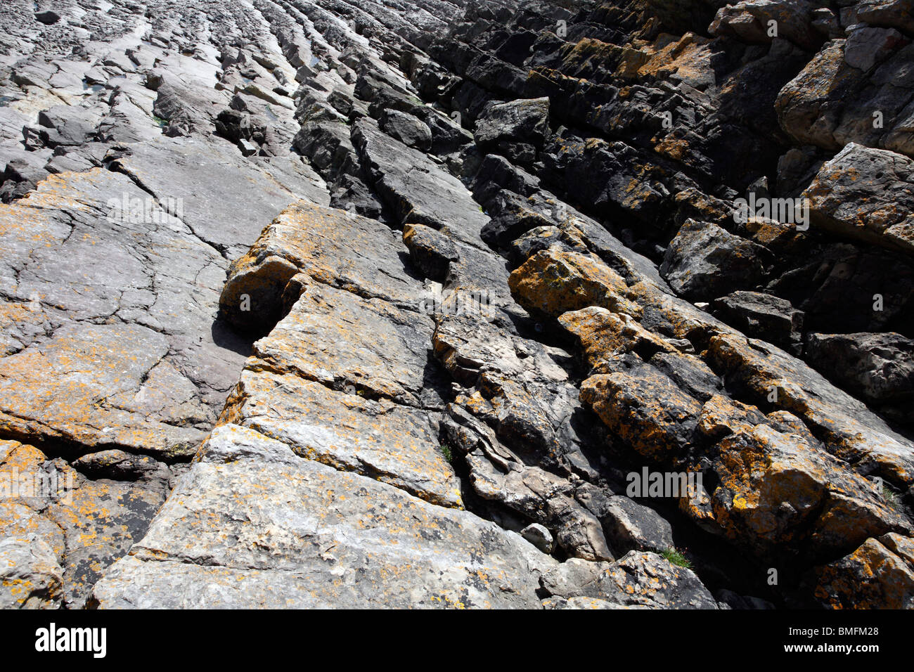 Fels-Formationen, Barry Island, Wales, UK Stockfoto