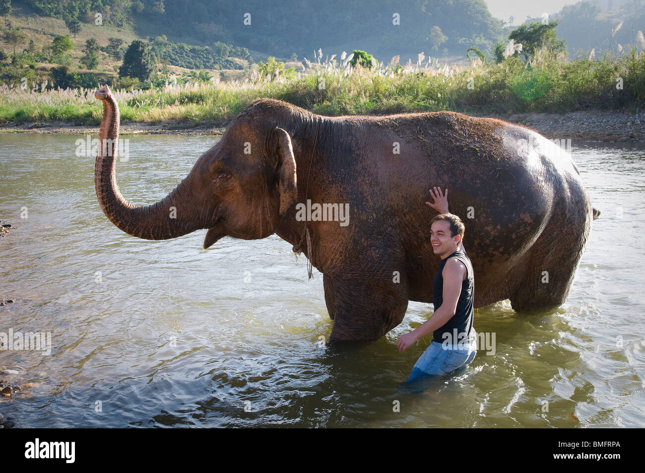 THAILAND, nördlich von CHIANG MAI: Lek es Elefanten Farm für gerettete Elefanten, ein Ort für alternative Elefant Tourismus. Stockfoto