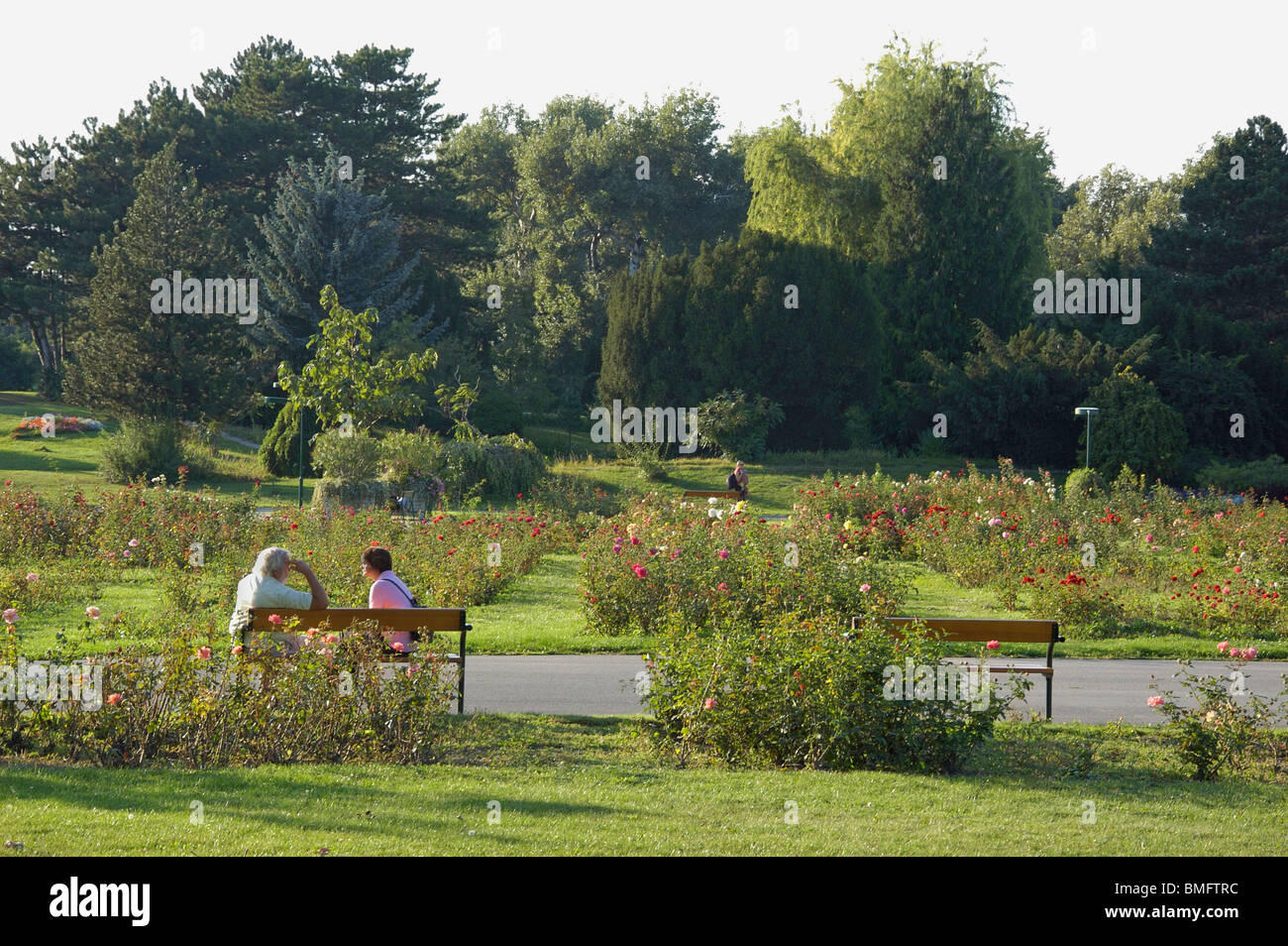 Donau-Park Vienna Stockfoto