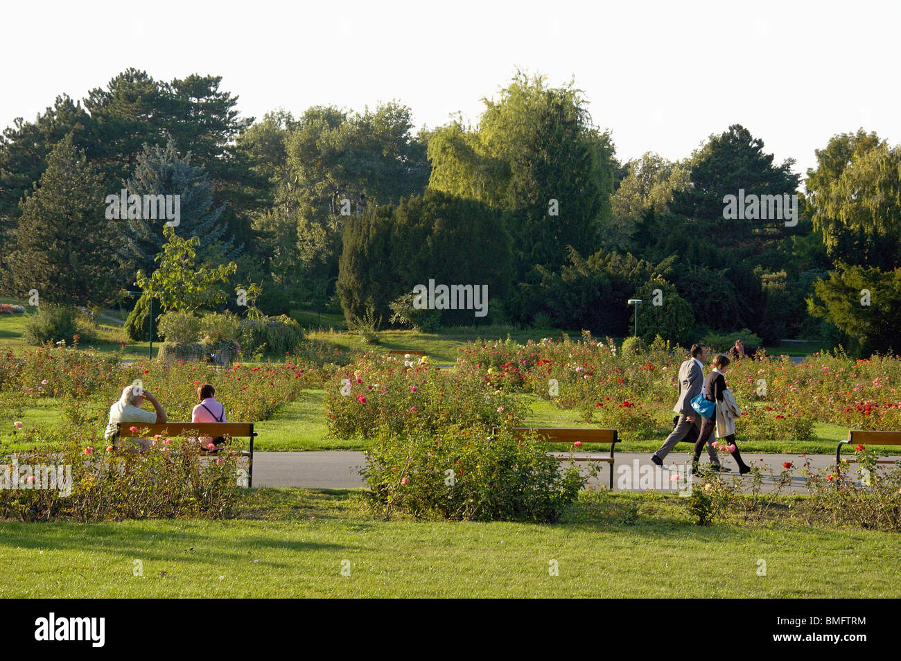 Donau-Park Vienna Stockfoto