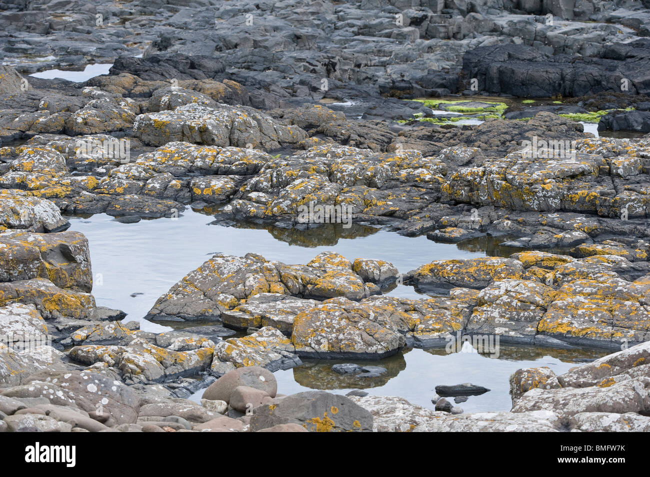 Felsen freigelegt bei Ebbe Craster Northumberland Küste England UK Europe Stockfoto