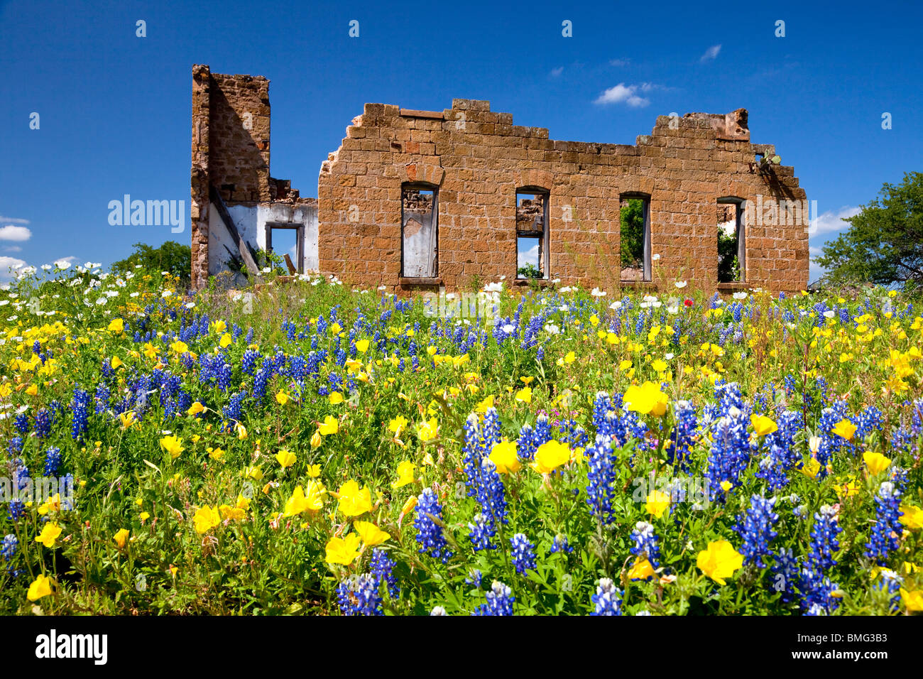 Verlassene Gebäude Ruinen einer ehemaligen Schule mit einer Vielzahl von Wildblumen in das Hügelland in Pontotoc, Texas, USA. Stockfoto