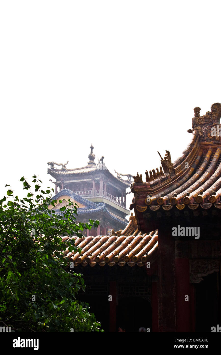 Blick vom Palast des ewigen Frühlings in Richtung regnet Blumen, Verbotene Stadt, Peking, China-Pavillon Stockfoto