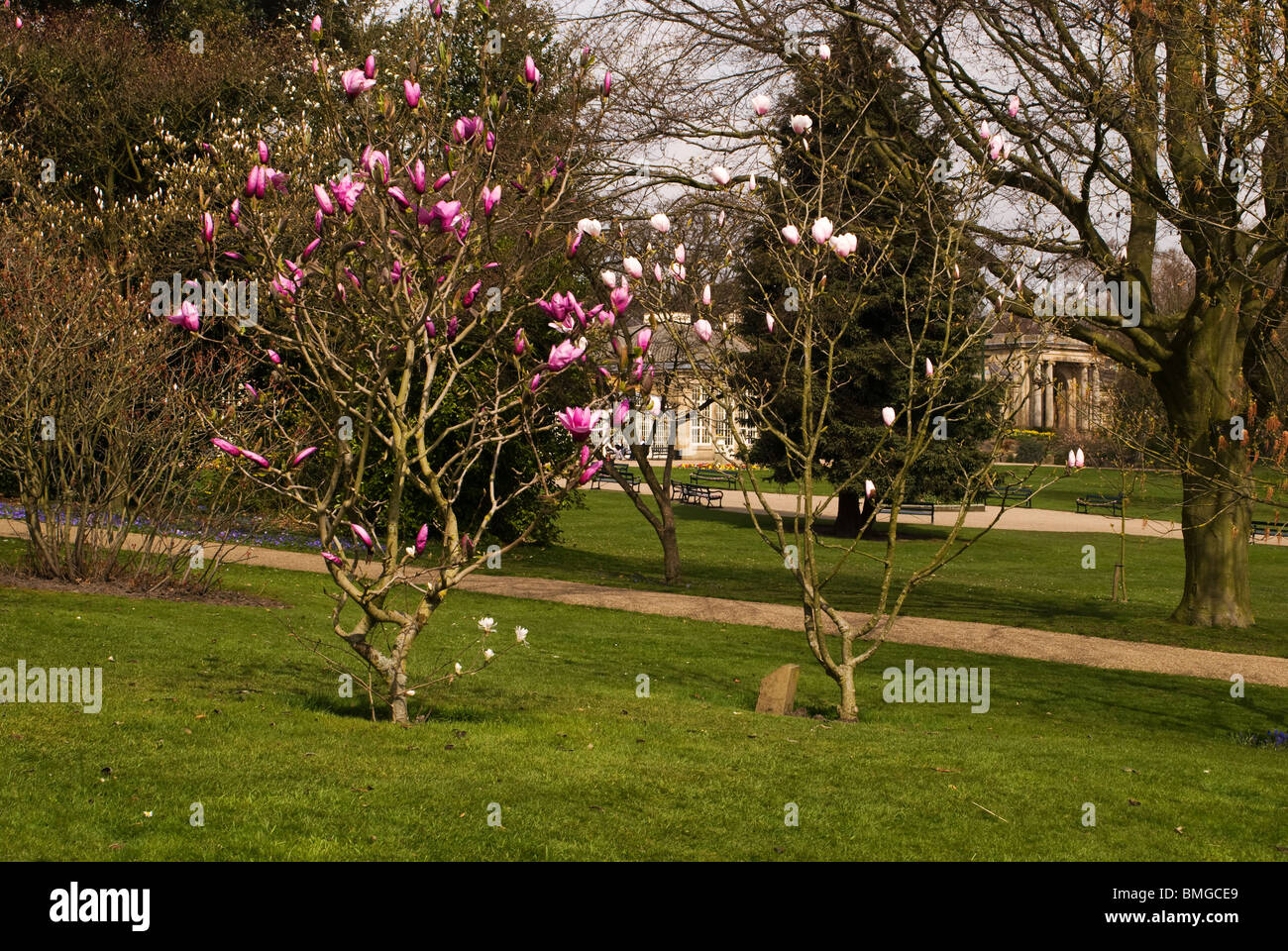 Englischen parks Stockfoto