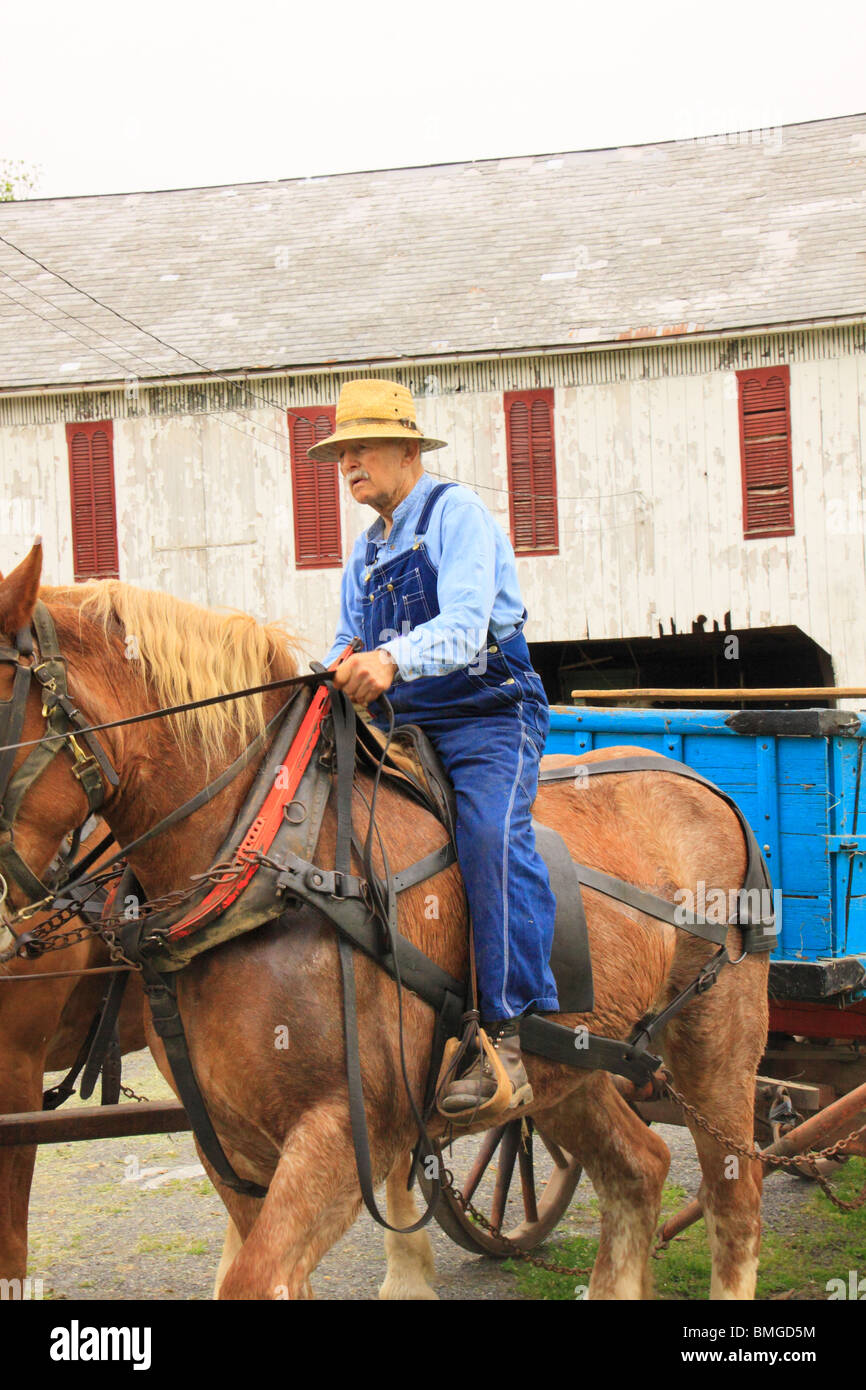 Charlie Lindsay fährt sechs Pferde Glocke Team, Greencastle, Pennsylvania Stockfoto