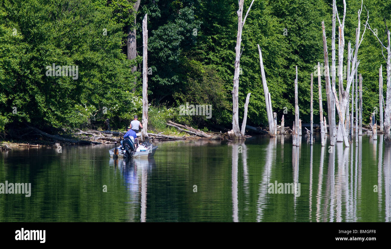 Ein Baß-Fischen Boot Angeln Struktur Bäume ein Stand von alten tot. Stockfoto