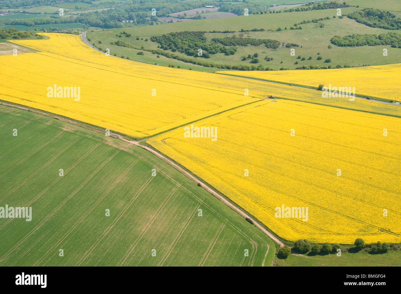 Luftaufnahme von Rapsöl wächst in der South Downs National Park, Sussex, England Stockfoto